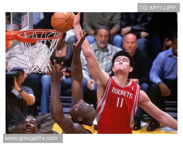 姚明在2004年季后赛中的精彩表现与火箭队的奋斗历程回顾