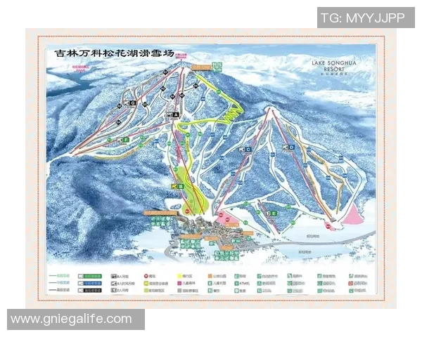 冰雪勇士武大靖再创佳绩全力迎接未来挑战与机遇 冰雪勇士武大靖再创佳绩全力迎接未来挑战与机遇