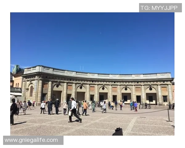 足球场上的爱与挣扎双性恋明星的心灵旅程小说推荐