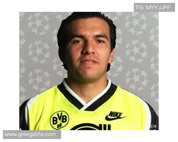 灵猫足球明星的精彩瞬间与独特魅力展现 灵猫足球明星的精彩瞬间与独特魅力展现