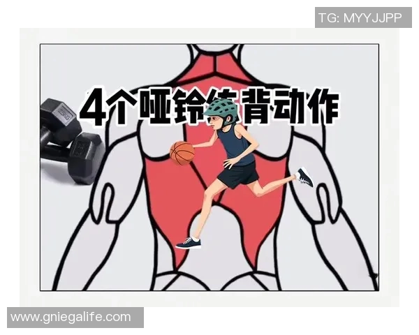 哑铃练背技巧详解助你打造完美背部线条与力量提升