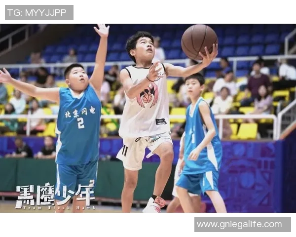 壮壮的篮球梦与明星之路探索之旅 壮壮的篮球梦与明星之路探索之旅